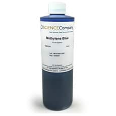 Methylene Blue Stain