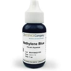 Methylene Blue Stain
