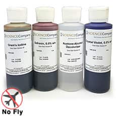 Gram Stain Set