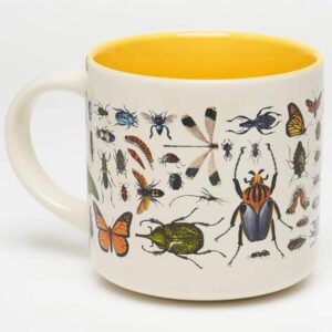 Beetles & Butterflies