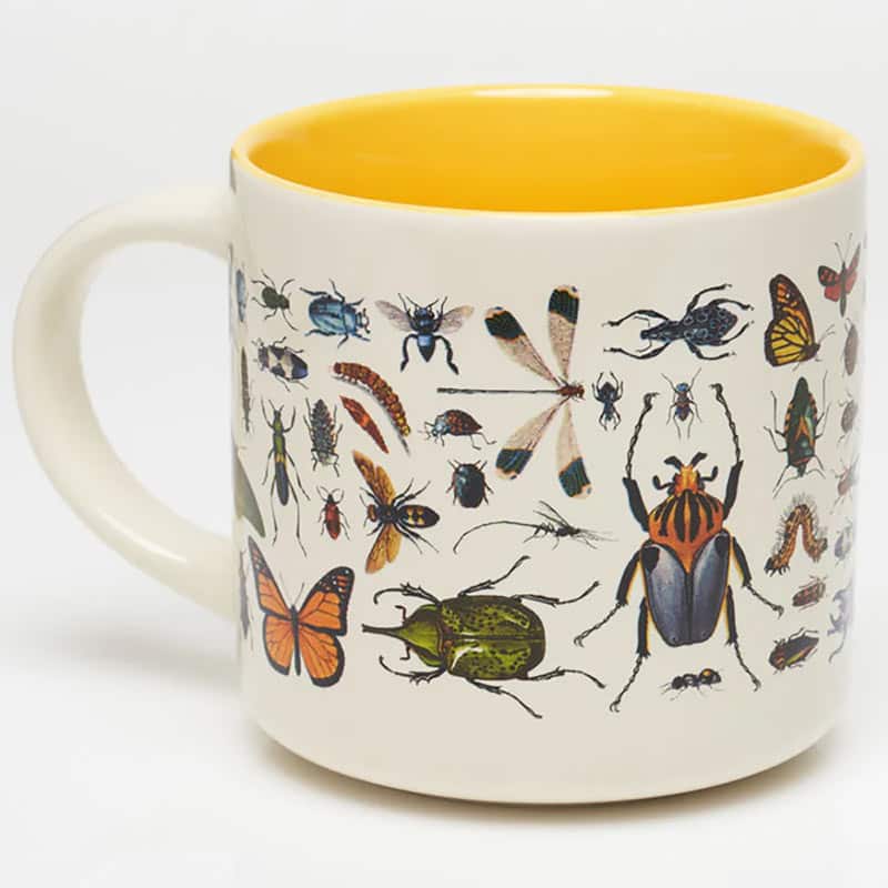 Beetles & Butterflies