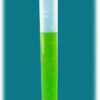 Student PP Polypropylene Graduated Cylinder