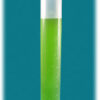 Student PP Polypropylene Graduated Cylinder